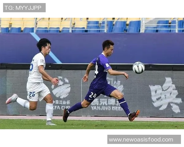 杭州网球队边路渗透分析：成功与不足的深度剖析与反思