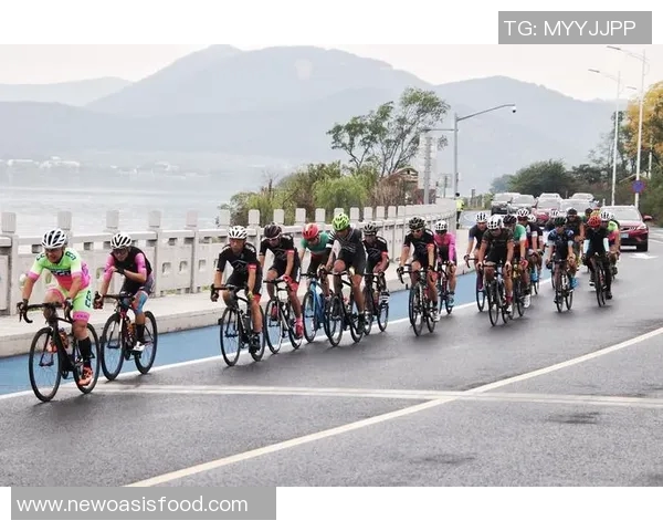 杭州羽毛球队个人能力大揭秘：大满贯赛事中的精彩表现与成长分析