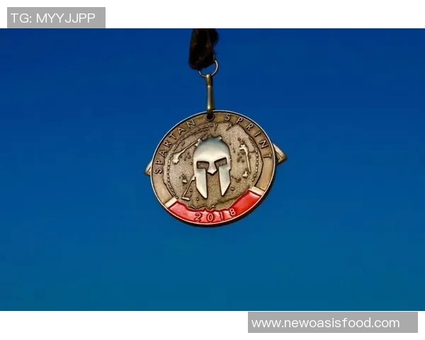 骑士与勇士的巅峰对决迅雷下载链接分享及观影指南