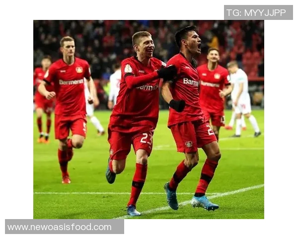 日本与波兰精彩对决全场录像回播回顾与分析