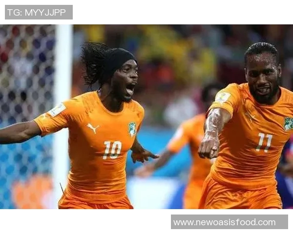 科特迪瓦与纳米比亚的精彩对决分析及比赛前瞻