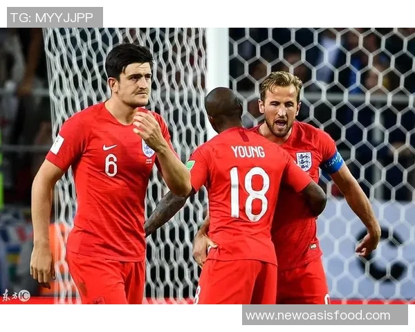 瑞典与英格兰足球对决精彩回顾与精彩瞬间集锦